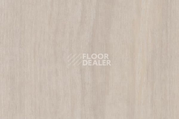 Виниловая плитка ПВХ FORBO Allura Wood 63400DR7-63400DR5 light ash фото 1 | FLOORDEALER